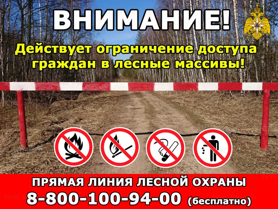 В Нижегородской области на территории 44 муниципальных округов установлен IV класс пожарной опасности лесов и торфяников.